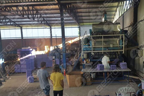 Beston Paper Apple Tray Machine Installed in Brazil